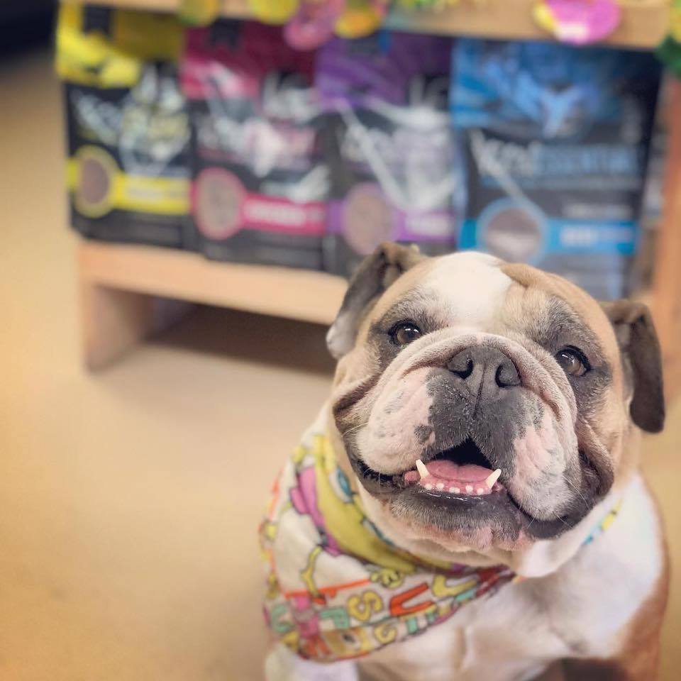 MAGGIE’S FOODS FOR PETS Updated September 2024 14 Reviews 67 W