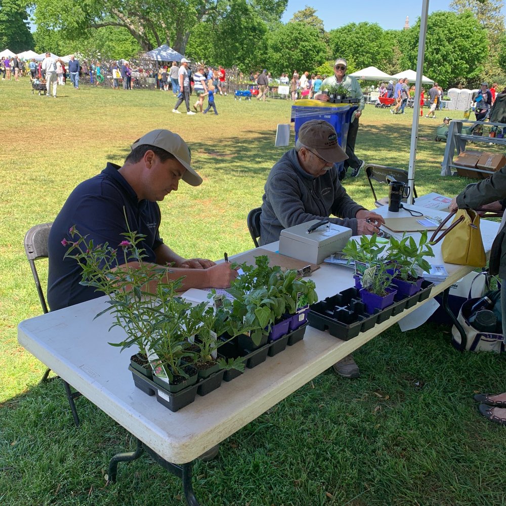 Maymont - Lavender Fields tent ... - Parks Near Me - Richmond, Virginia Maymont - Lavender Fields tent ... - Parks Near Me - Richmond, Virginia