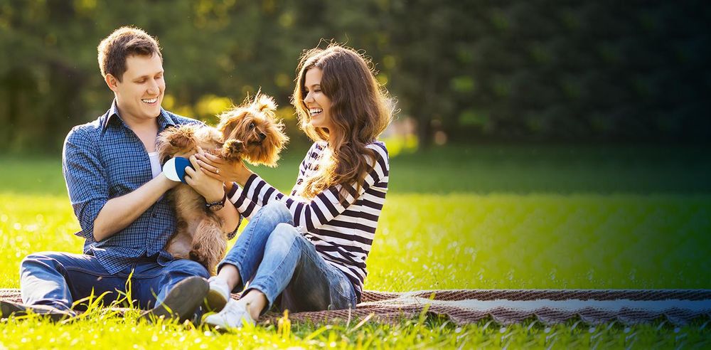 Samuel Fink, MD - sleep specialist in Tarzana, CA