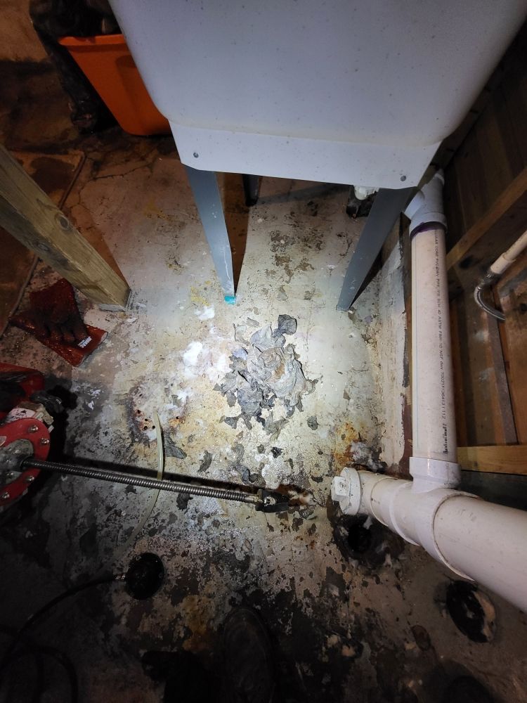 Slide of Drain Cleaning Services