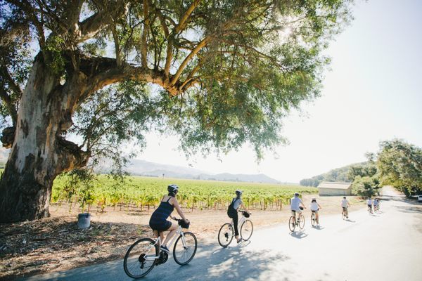 Napa Valley Bike Tours & Rentals by null