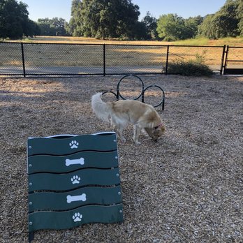 Cubby's Dog Park At Bernal - Dog Parks Near Me - Pleasanton, California Cubby's Dog Park At Bernal - Dog Parks Near Me - Pleasanton, California