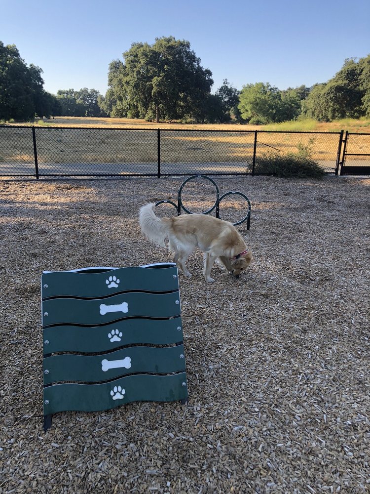 Cubby's Dog Park At Bernal Logo