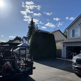 Tino Touch Lawn Care - Lawn Services Near Me Tino Touch Lawn Care - Lawn Services Near Me