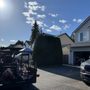 Tino Touch Lawn Care