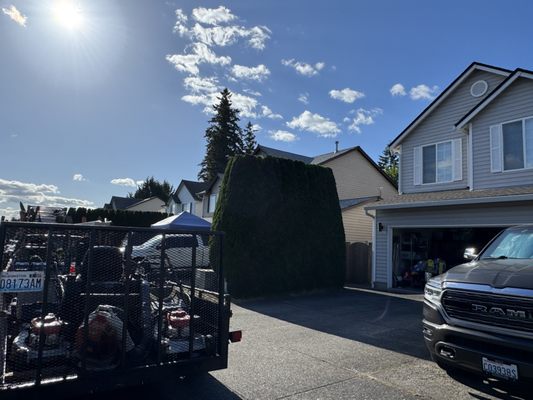Tino Touch Lawn Care on Yelp