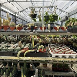 Plants For All Seasons