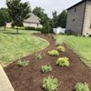 Winesett Nursery and Landscaping gift card