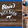 BLAIN'S FARM & FLEET - Jackson, MI gift card