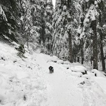 Little Zigzag Falls - Hiking Near Me