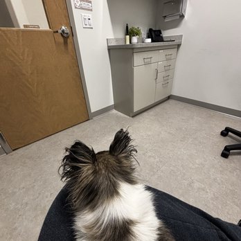Vista Veterinary Specialists - very clean exam room - Veterinarians Near Me - Sacramento, California