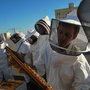 Photo of Round Rock Honey