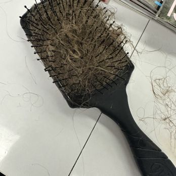 Cristophe Salon - Chunks of my hair falling out after she ruined my hair. Each time I brushed my hair, hundreds of pieces falling out. - Hair Salons Near Me - Newport Beach, California Cristophe Salon - Chunks of my hair falling out after she ruined my hair. Each time I brushed my hair, hundreds of pieces falling out. - Hair Salons Near Me - Newport Beach, California