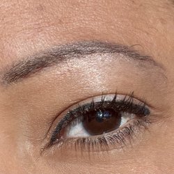 Brow Bunny Studio - A single eye with eyebrow