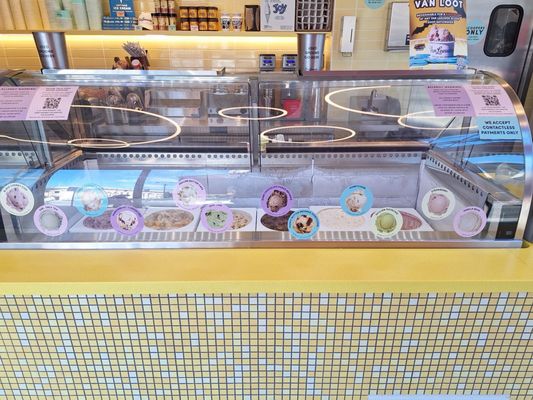 Van Leeuwen Ice Cream by null