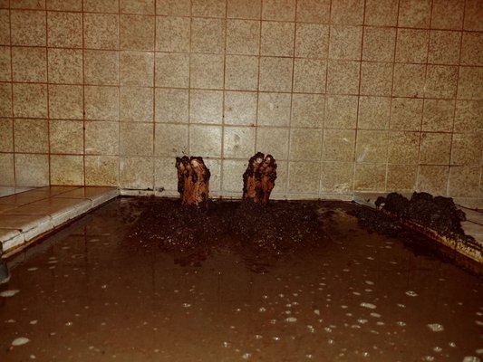 BATHS AT ROMAN SPA - 73 Photos & 117 Reviews - 1300 Washington St ...