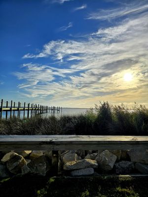 The Blue Point by null