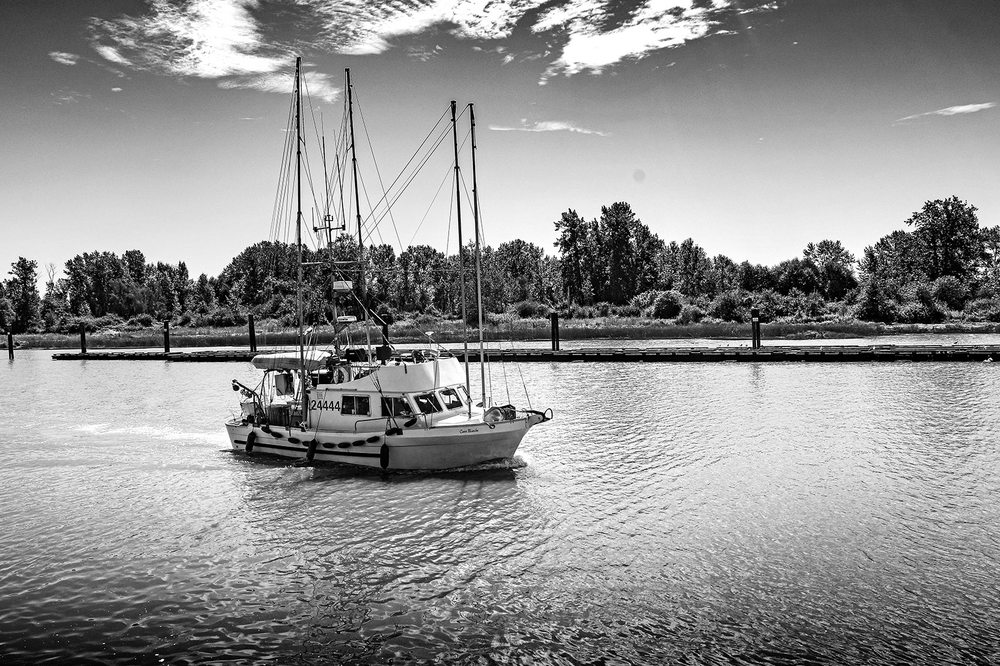 ORGANIC OCEAN SEAFOOD Updated September 2024 17 Photos Richmond