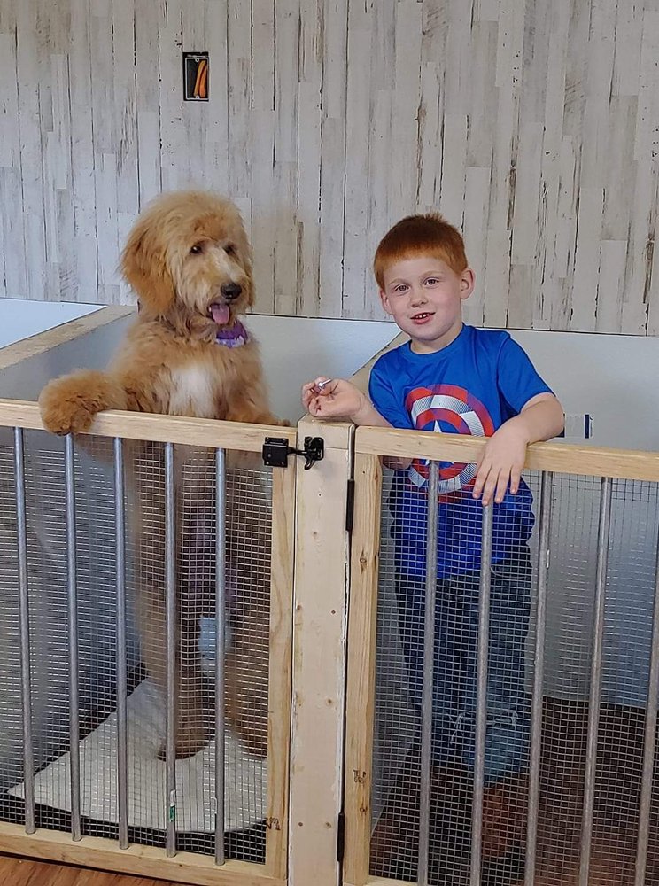 The Shaggy Dog Pet Parlor