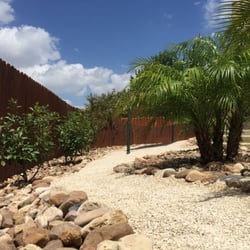 Cat's Landscape Services