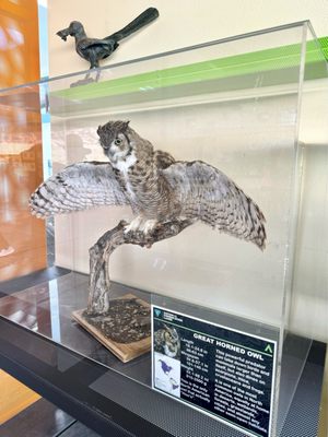 Red Rock Canyon Visitor Center by null