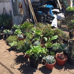 Ortega Nursery