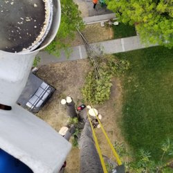 Steve's Professional Tree Care - Arial lift work.
