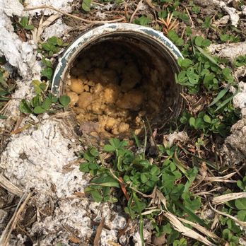 J Rooter Sewer and Drain Cleaning - Heavy grease build up in this sewer line. - Plumbing Near Me J Rooter Sewer and Drain Cleaning - Heavy grease build up in this sewer line. - Plumbing Near Me