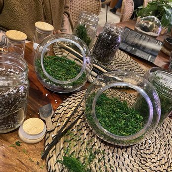 Spotted Leaf Plant Company - Process of building terrarium - Nurseries & Gardening Near Me - Somerville, New Jersey Spotted Leaf Plant Company - Process of building terrarium - Nurseries & Gardening Near Me - Somerville, New Jersey