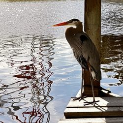 Pine Island Marina & Rv Park