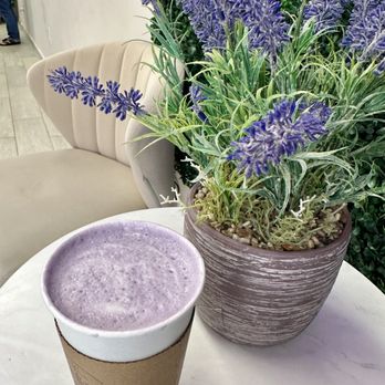 Kafé de Manila - Ube yam latte - Bubble Tea Near Me - Somerville, New Jersey Kafé de Manila - Ube yam latte - Bubble Tea Near Me - Somerville, New Jersey