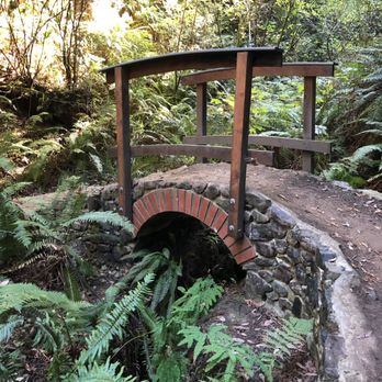 Skunk Train - Cute bridge in the hiking trail you get to explore mid bike-ride - Tours Near Me - Fort Bragg, California Skunk Train - Cute bridge in the hiking trail you get to explore mid bike-ride - Tours Near Me - Fort Bragg, California