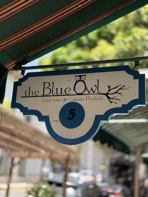 The Blue Owl by null