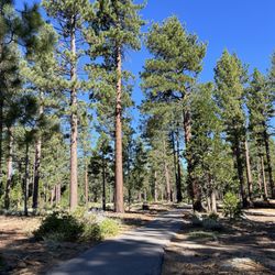 Anderson's Bicycle Rental - Love this trail (Pope-Baldwin Bike Trail)