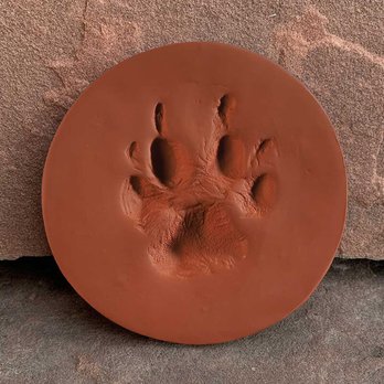 PR's Heavenly Bridge - Terra Cotta Paw Prints - Pet Cremation Services Near Me - Fort Worth, Texas PR's Heavenly Bridge - Terra Cotta Paw Prints - Pet Cremation Services Near Me - Fort Worth, Texas