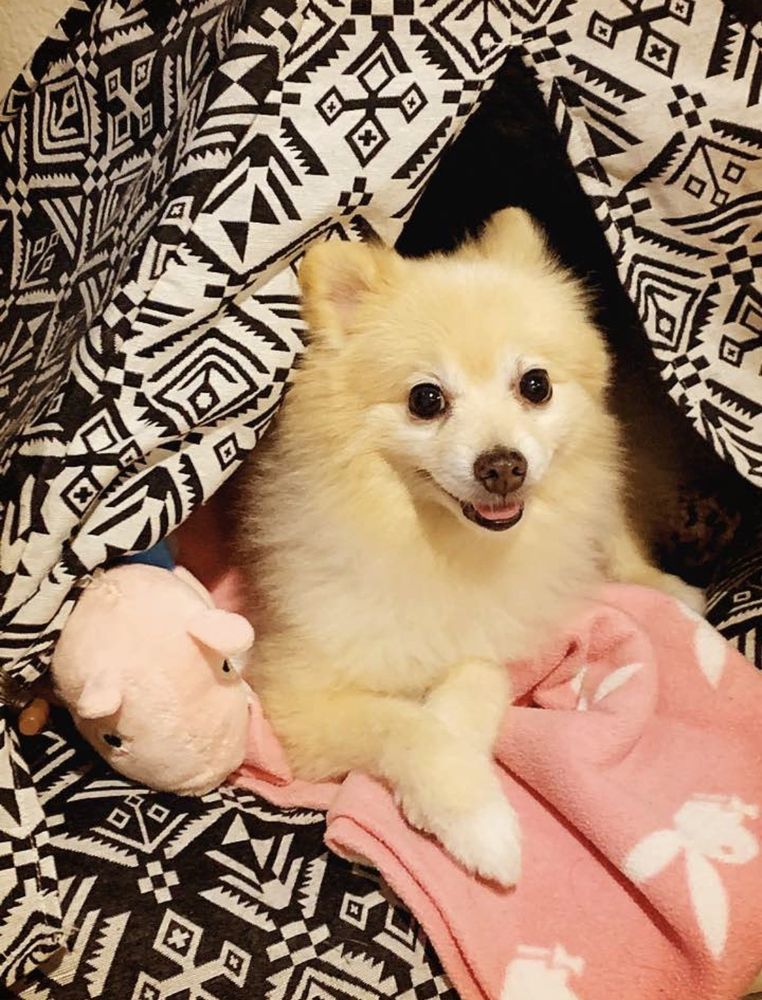 COMPOUNDING PHARMACY OF BEVERLY HILLS 48 Reviews 9629 W Olympic