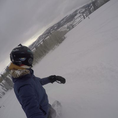 Steamboat Powdercats by null
