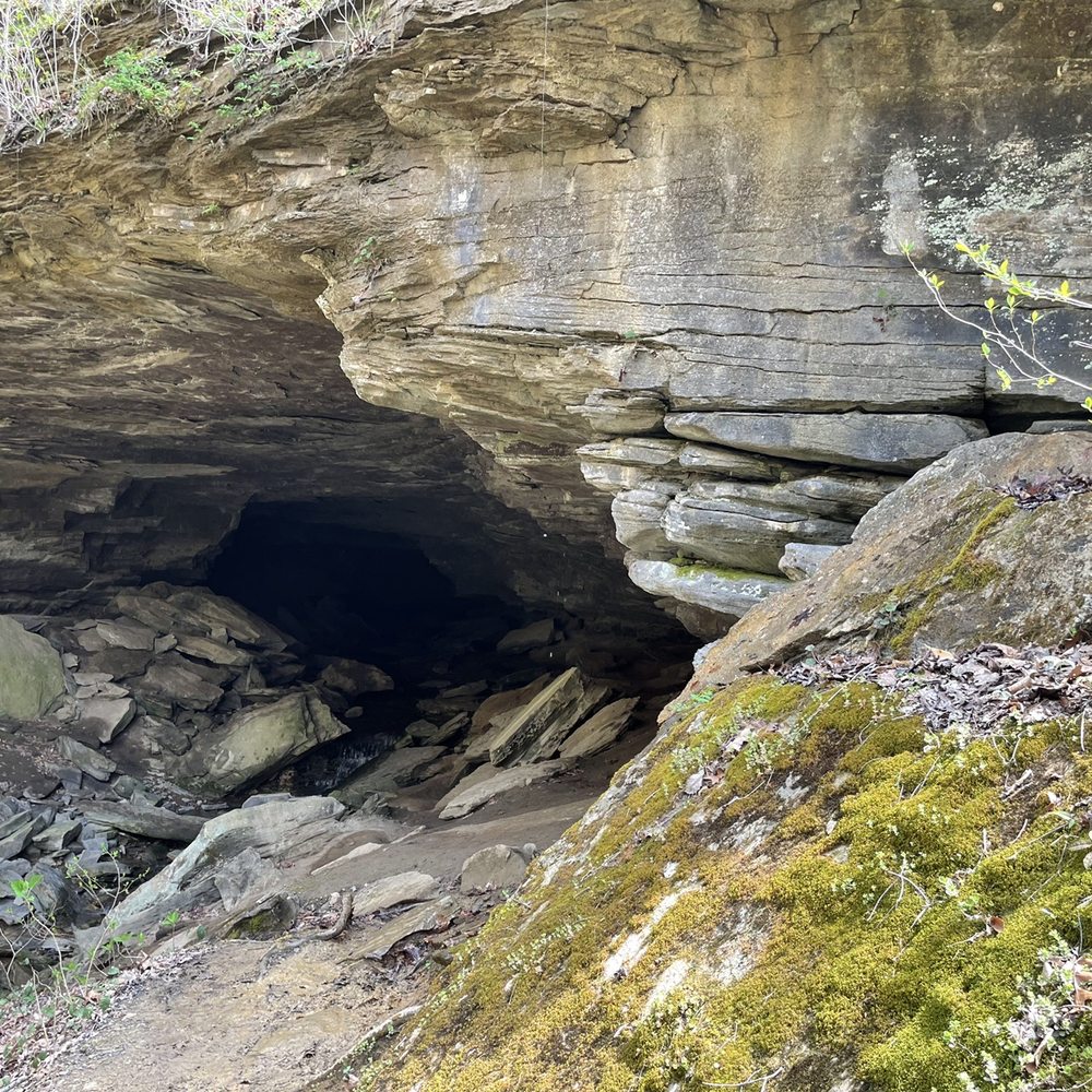 Bunkum Cave Loop Trail - Entering the cave - Tours Near Me - Byrdstown, Tennessee
