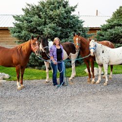Soft Hands Horseback Riding