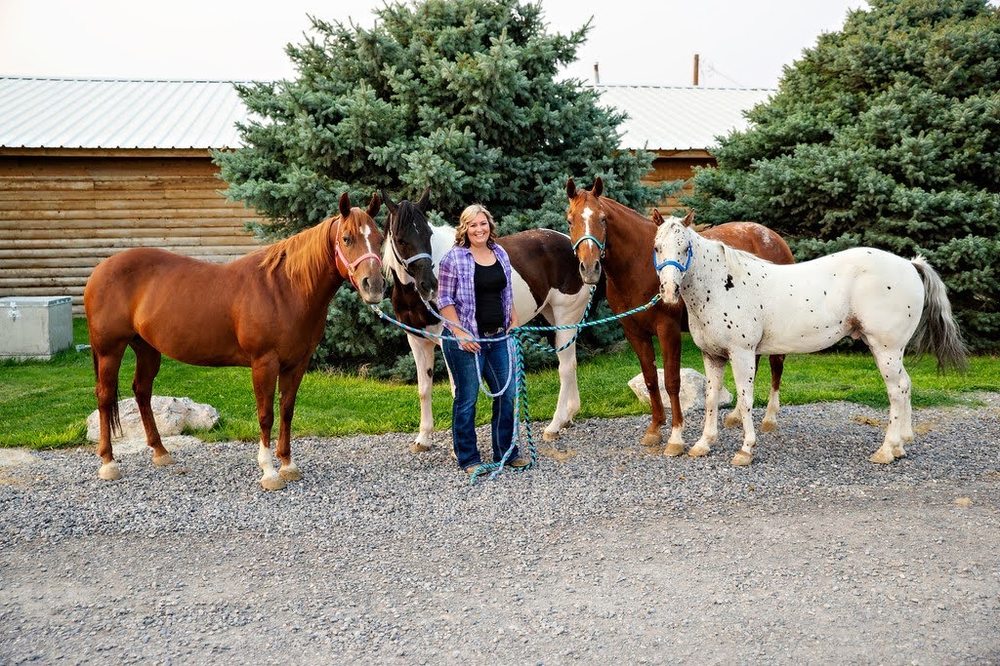 Soft Hands Horseback Riding - equestrian in Simpsonville, SC