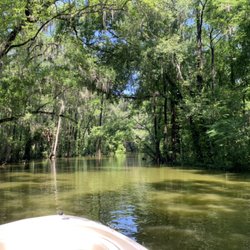 Mount Dora Lake Tours - Lake Dora