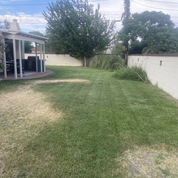 Backyard Barber - Lawn Services Near Me - Mesa, Arizona Backyard Barber - Lawn Services Near Me - Mesa, Arizona