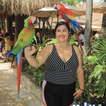 Experiencias Xcaret - Xel ha Cancun total vacation spot - Bus Tours Near Me