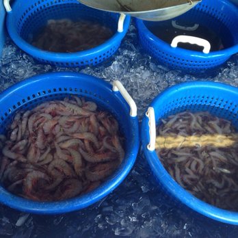 Down the Bayou Shrimp Tours - three buckets filled with shrimp - Seafood Markets Near Me - Dulac, Louisiana