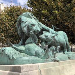 The Lion - snacking on wild boar (jambon) The Lion - snacking on wild boar (jambon)