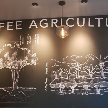 Starbucks - Fun mural adding to the ambience - Coffee & Tea Near Me - Katy, Texas