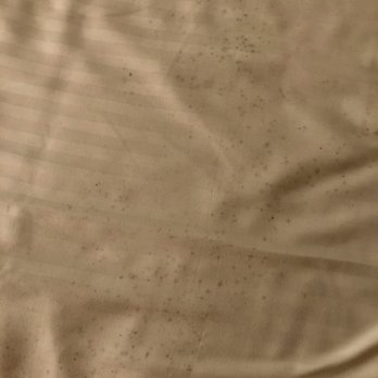 Capri Laguna - Moldy sheets :( - Hotels Near Me - Laguna Beach, California Capri Laguna - Moldy sheets :( - Hotels Near Me - Laguna Beach, California