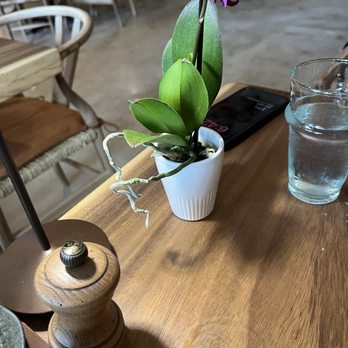 Nomade - Table setting is nicely done. - Moroccan Near Me - Boca Raton, Florida