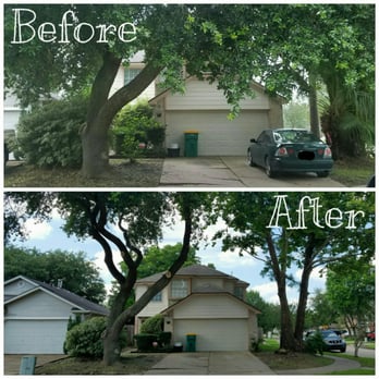 Jose Lozano Tree Services - Tree Services Near Me - Houston, Texas Jose Lozano Tree Services - Tree Services Near Me - Houston, Texas