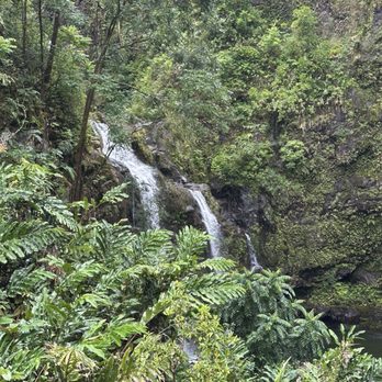 Hawaii by Storm - Tours Near Me Hawaii by Storm - Tours Near Me